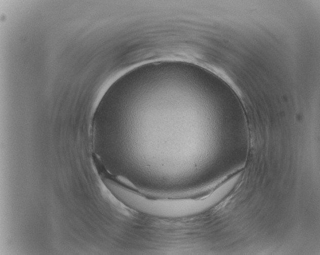 X0000074291532200609151904