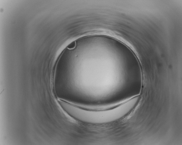 X0000074291533200609151904