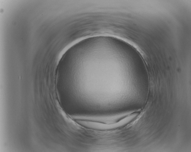 X0000074291534200609151904