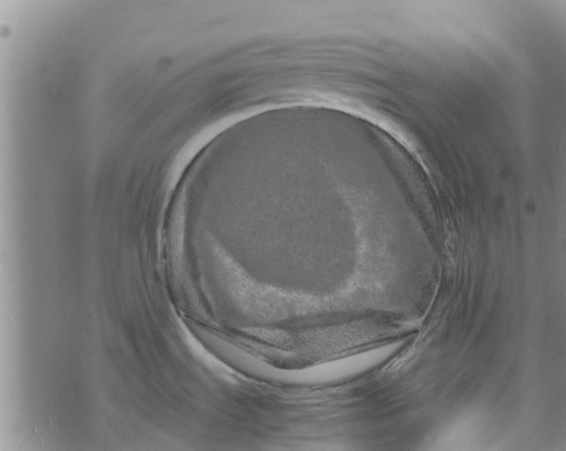 X0000074291535200609151904