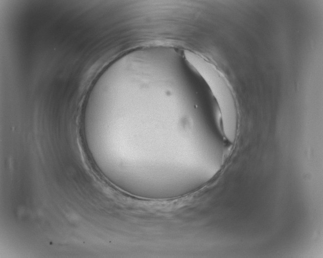 X0000074290001200609222321