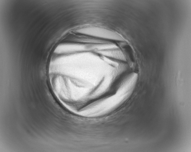 X0000074290002200609222321