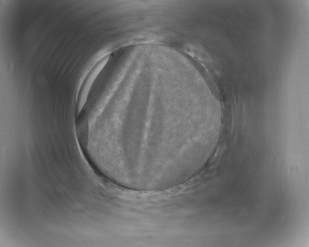 X0000074290003200609222321