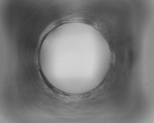 X0000074290004200609222321