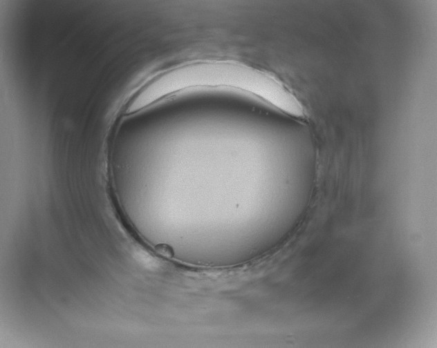 X0000074290005200609222321