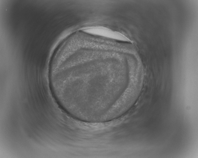 X0000074290006200609222321