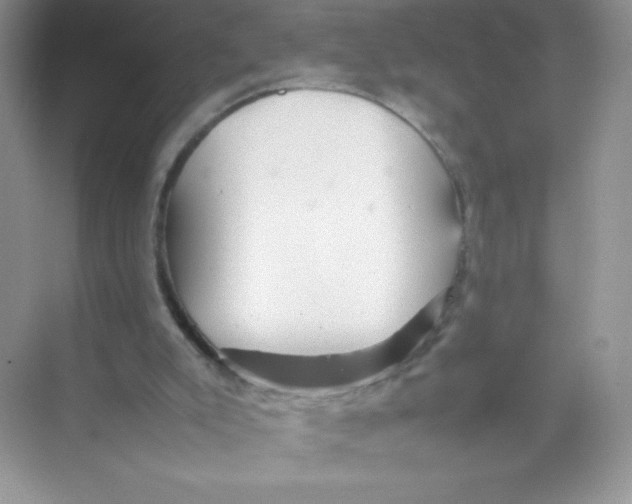 X0000074290007200609222321