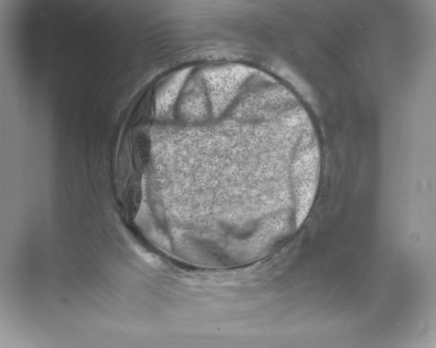 X0000074290009200609222321