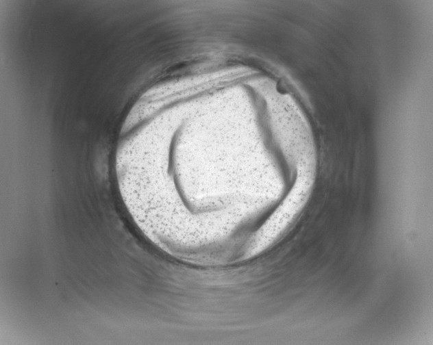 X0000074290010200609222321