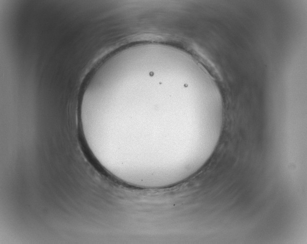 X0000074290011200609222321