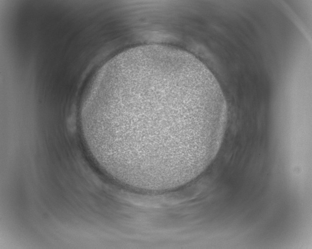 X0000074290012200609222321