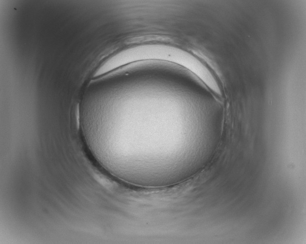 X0000074290013200609222321