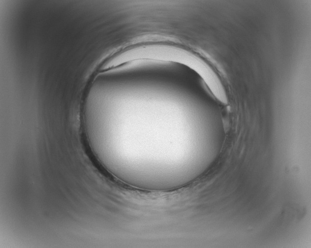 X0000074290015200609222321