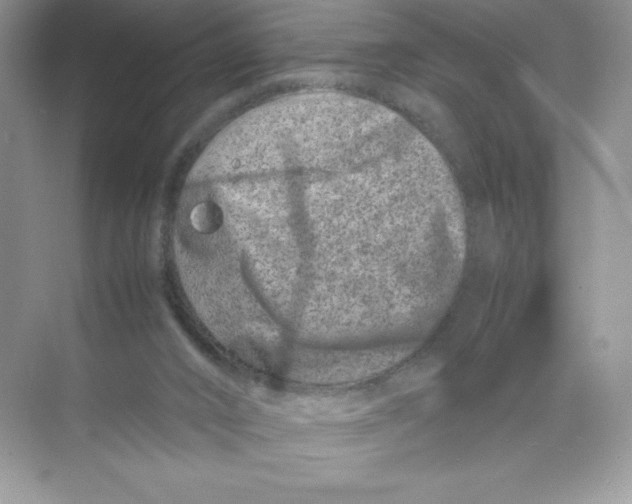 X0000074290016200609222321