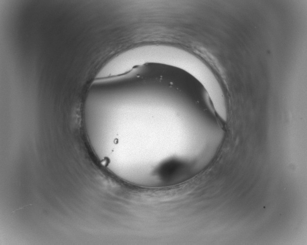 X0000074290017200609222321