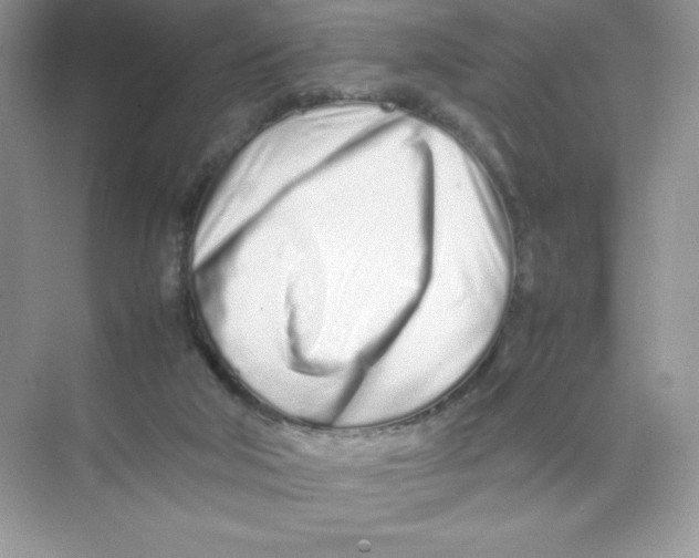 X0000074290018200609222321