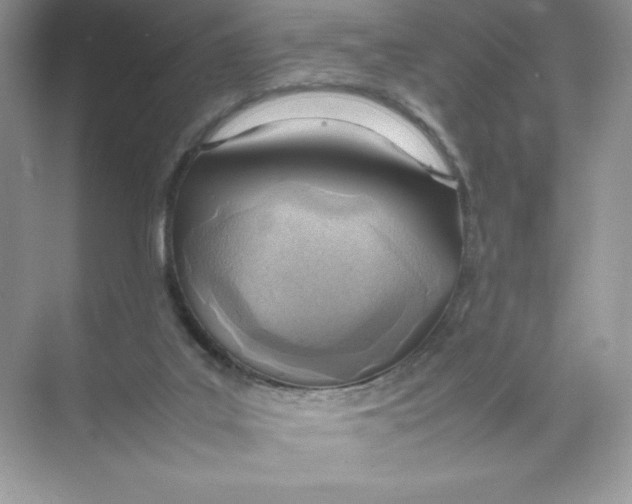 X0000074290019200609222321