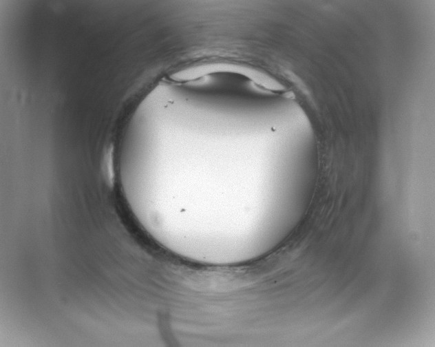 X0000074290020200609222321