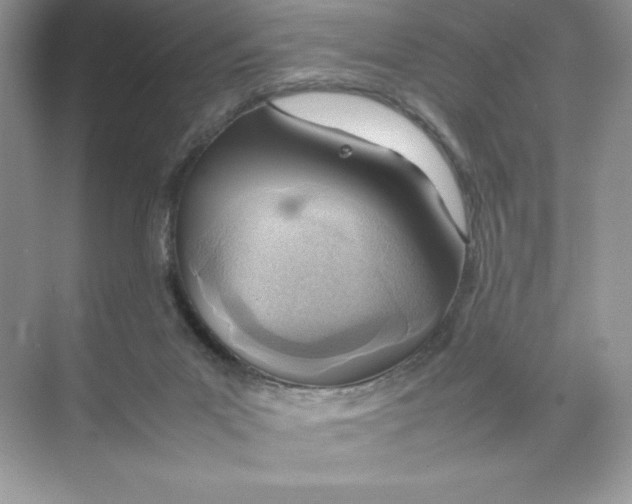 X0000074290023200609222321