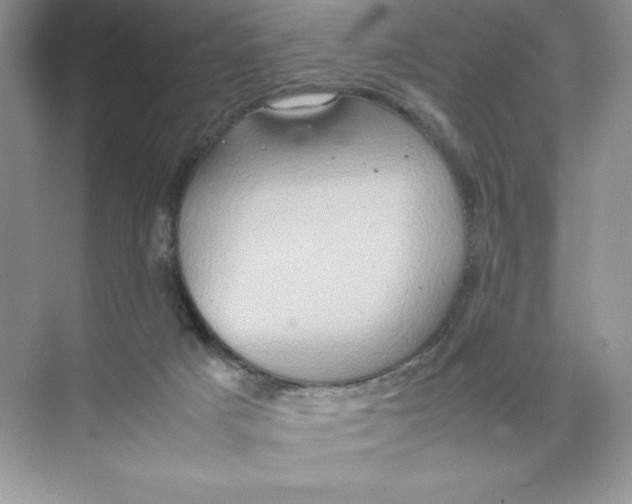 X0000074290025200609222321