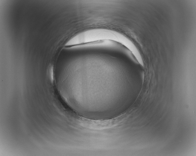 X0000074290027200609222320