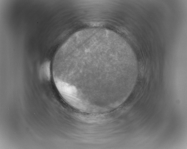 X0000074290028200609222320