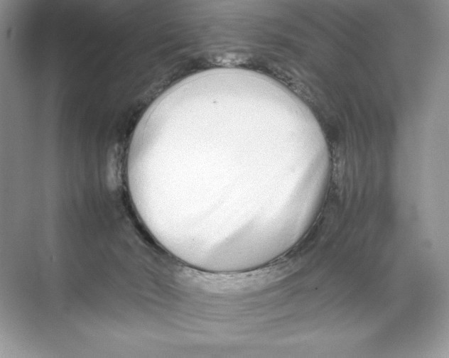 X0000074290030200609222320