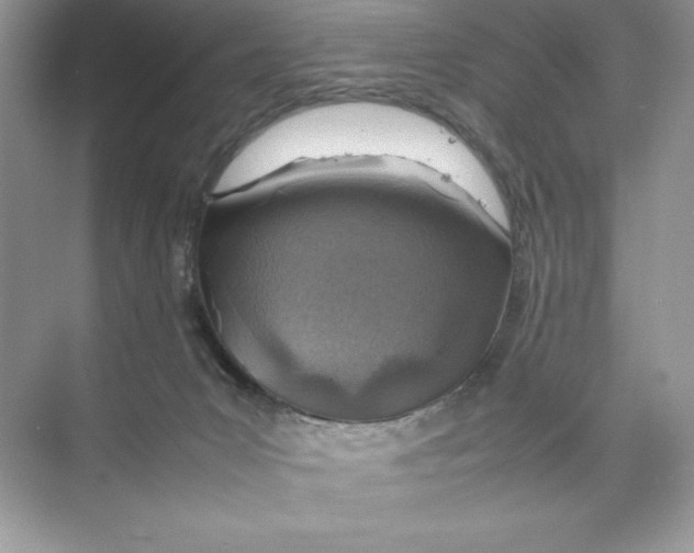 X0000074290031200609222320