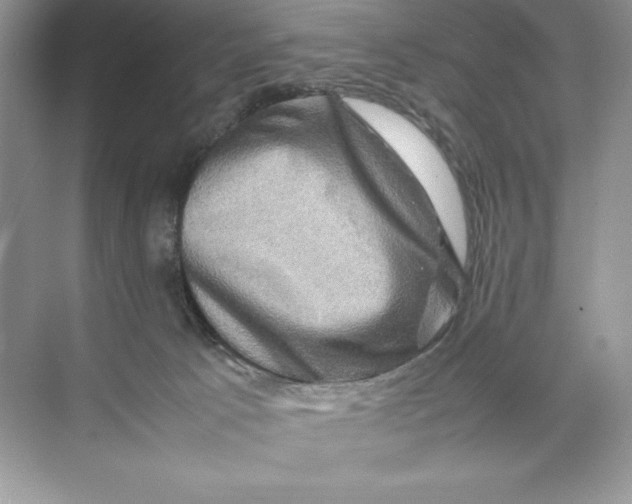 X0000074290033200609222320