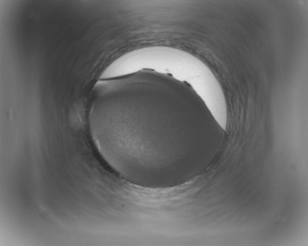 X0000074290035200609222320