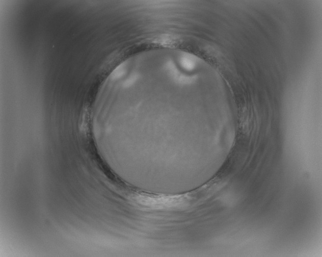 X0000074290036200609222320