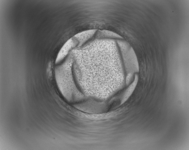 X0000074290038200609222320