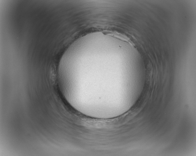 X0000074290040200609222320