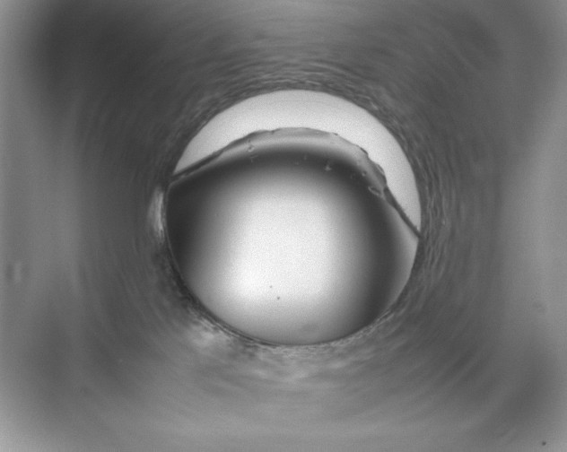 X0000074290041200609222320