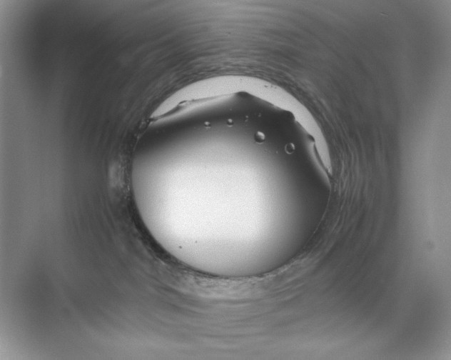 X0000074290044200609222320