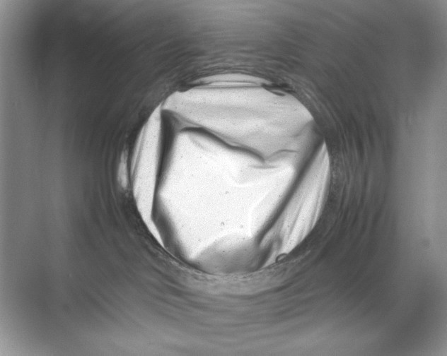 X0000074290046200609222320