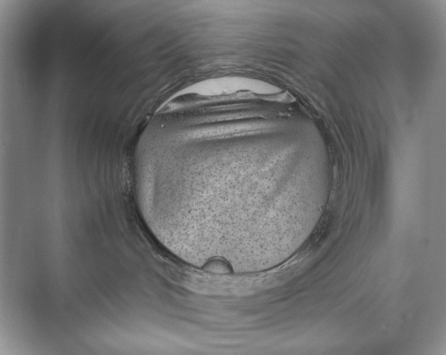 X0000074290048200609222320