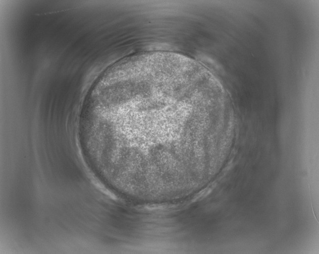 X0000074290049200609222319