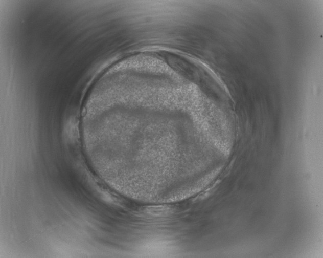 X0000074290050200609222319