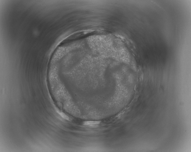 X0000074290051200609222319