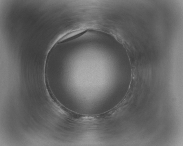 X0000074290052200609222319