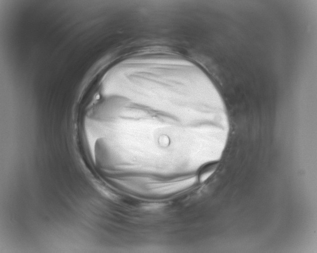 X0000074290053200609222319