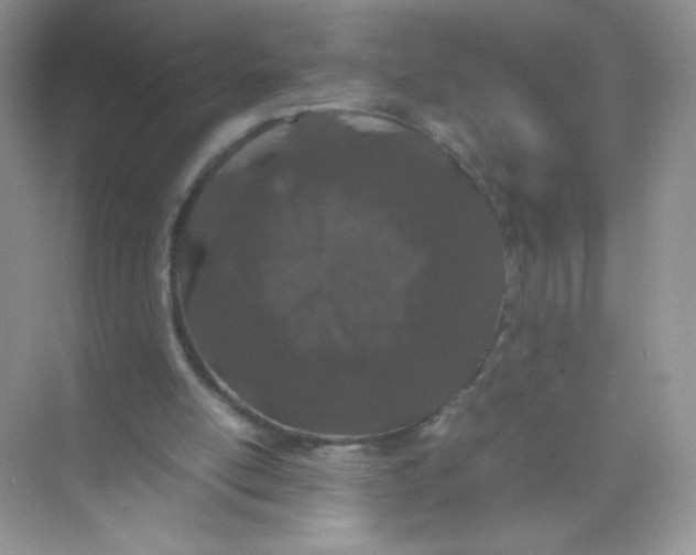 X0000074290054200609222319