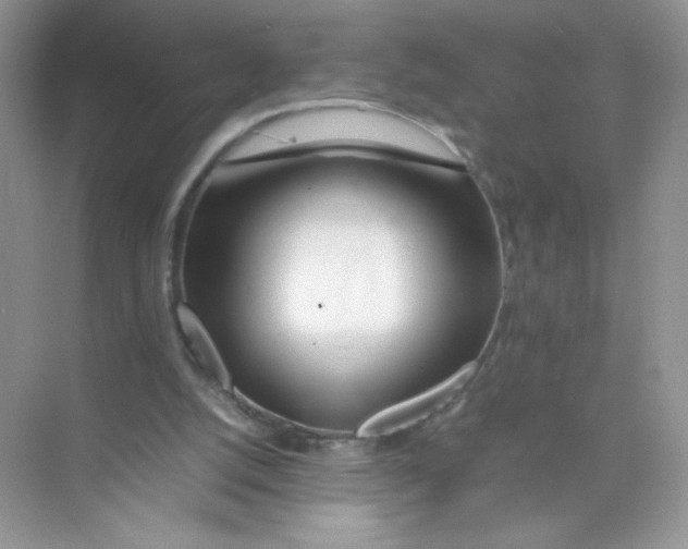 X0000074290056200609222319