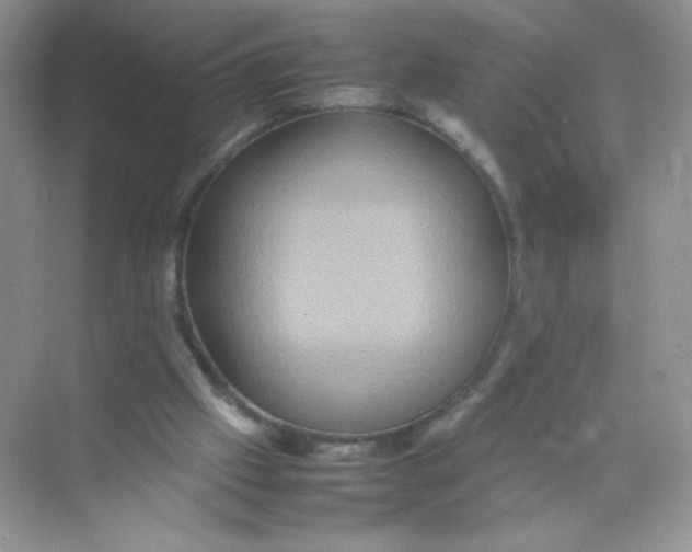 X0000074290057200609222319