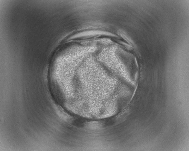 X0000074290058200609222319