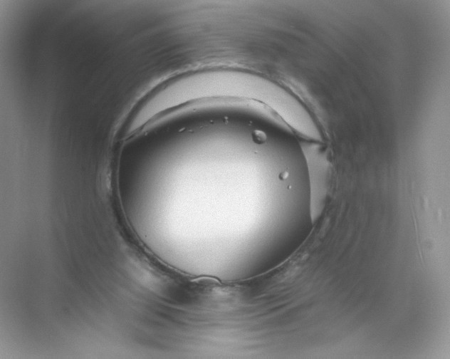 X0000074290060200609222320