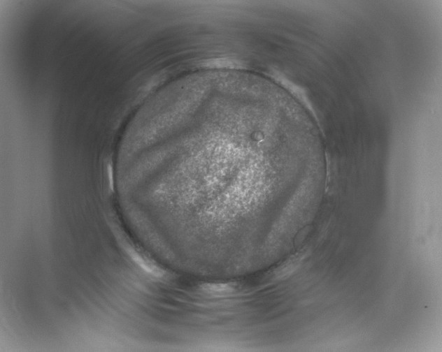 X0000074290061200609222320