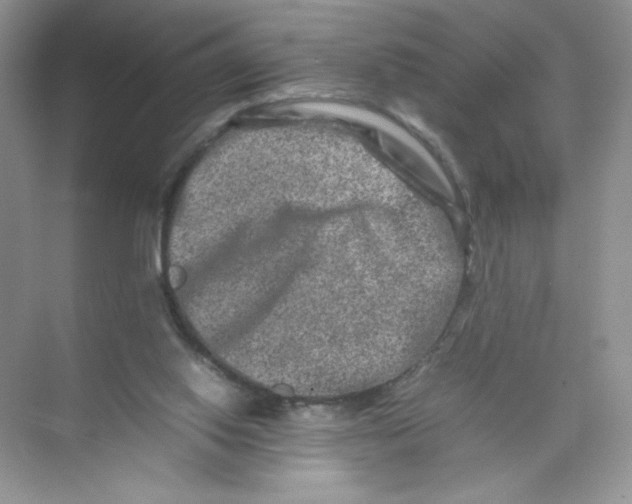 X0000074290062200609222320