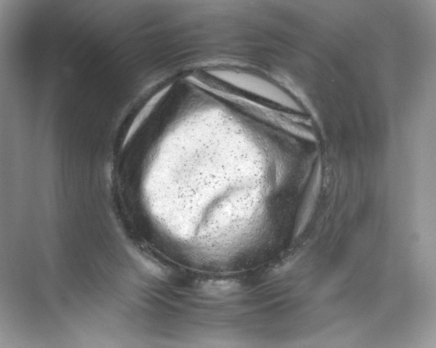 X0000074290063200609222320